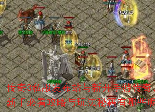 ����3˽������վ���¿����δ��棬���ֱؿ��������淨�ؼ�����Щ�أ�