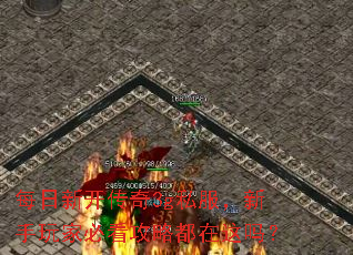 ÿ���¿�����3g˽����������ұؿ����Զ�������