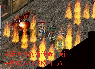 今日刚开网通传奇,新手快速入门攻略有吗? 今日刚开网通传奇,新手快速入门攻略有吗?