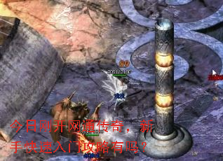 今日刚开网通传奇,新手快速入门攻略有吗? 今日刚开网通传奇,新手快速入门攻略有吗?