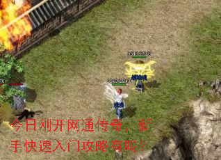 今日刚开网通传奇,新手快速入门攻略有吗? 今日刚开网通传奇,新手快速入门攻略有吗?
