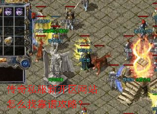 ����˽���¿�����վ��ô�ҿ��׹��ԣ�