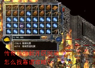����˽���¿�����վ��ô�ҿ��׹��ԣ�