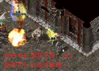 找传奇新服网开荒,高手都在用什么速成秘籍? 找传奇新服网开荒,高手都在用什么速成秘籍?