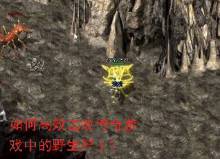 ��θ�Ч���ܴ�����Ϸ�е�Ұ��ʬ����