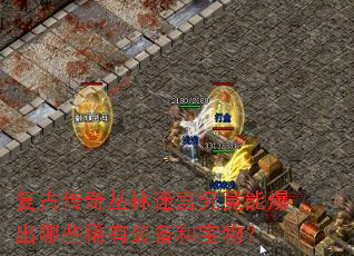 复古传奇丛林迷宫究竟能爆出哪些稀有装备和宝物? 复古传奇丛林迷宫究竟能爆出哪些稀有装备和宝物?