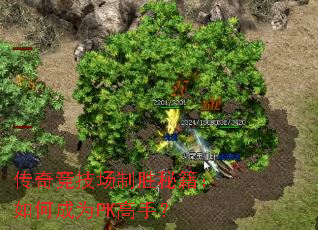 ���澺������ʤ�ؼ�����γ�ΪPK���֣�