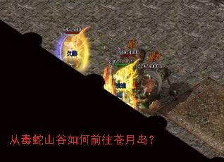 从毒蛇山谷如何前往苍月岛? 从毒蛇山谷如何前往苍月岛?