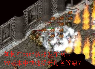如何在cqsf私服发布网1.99版本中快速提升角色等级? 如何在cqsf私服发布网1.99版本中快速提升角色等级?