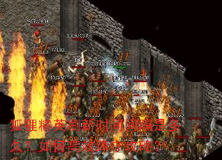 狐狸精英刷新时间间隔是多久?如何高效蹲守攻略? 狐狸精英刷新时间间隔是多久?如何高效蹲守攻略?