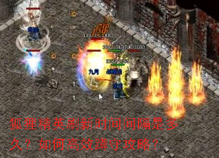 狐狸精英刷新时间间隔是多久?如何高效蹲守攻略? 狐狸精英刷新时间间隔是多久?如何高效蹲守攻略?