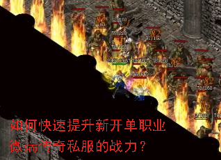 ��ο��������¿���ְҵ΢�˴���˽����ս����