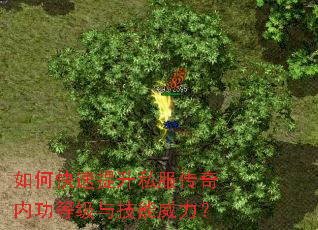 如何快速提升私服传奇内功等级与技能威力? 如何快速提升私服传奇内功等级与技能威力?