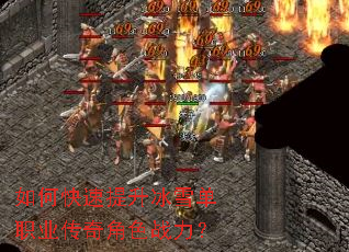 ��ο���������ѩ��ְҵ�����ɫս����