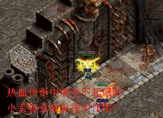 ��Ѫ��������Щ�����۵�Сװ�����ܷ��Ӵ����ã�