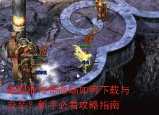 ��ְҵ����΢����������밲װ�����ֱؿ�����ָ��