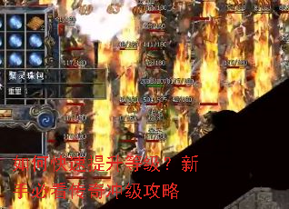 如何快速提升等级?新手必看传奇冲级攻略 如何快速提升等级?新手必看传奇冲级攻略