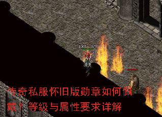 ����˽�����ɰ�ѫ�����������ȼ�������Ҫ�����