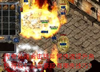 传奇私服合击版如何快速提升角色等级?装备获取有哪些技巧? 传奇私服合击版如何快速提升角色等级?装备获取有哪些技巧?