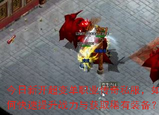 �����¿����䵥ְҵ����˽������ο�������ս�����ȡϡ��װ����