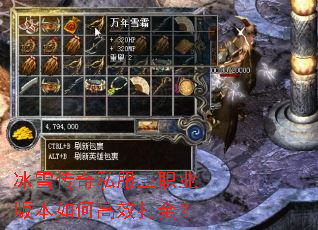 ��ѩ����˽����ְҵ�汾��θ�Ч���