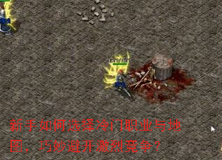 新手如何选择冷门职业与地图,巧妙避开激烈竞争? 新手如何选择冷门职业与地图,巧妙避开激烈竞争?