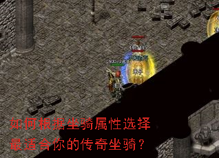 ��θ�����������ѡ�����ʺ���Ĵ������