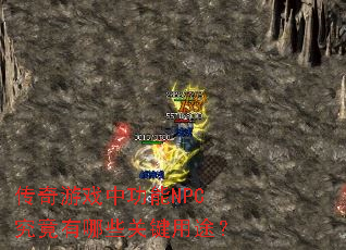 ������Ϸ�й���NPC��������Щ�ؼ���;��