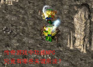 ������Ϸ�й���NPC��������Щ�ؼ���;��