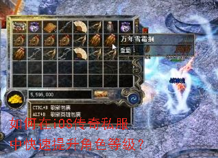 如何在iOS传奇私服中快速提升角色等级? 如何在iOS传奇私服中快速提升角色等级?