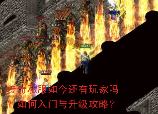 传奇私服如今还有玩家吗?如何入门与升级攻略? 传奇私服如今还有玩家吗?如何入门与升级攻略?