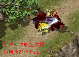 ����sf��ְҵ΢����ο�������ս����