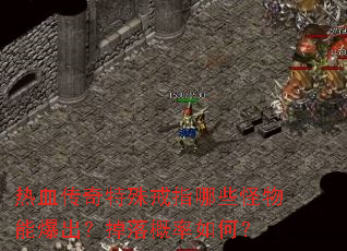 热血传奇特殊戒指哪些怪物能爆出?掉落概率如何? 热血传奇特殊戒指哪些怪物能爆出?掉落概率如何?