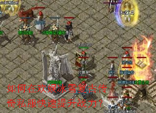 ����ڻ����ѩ���Ŵ���˽����������ս����