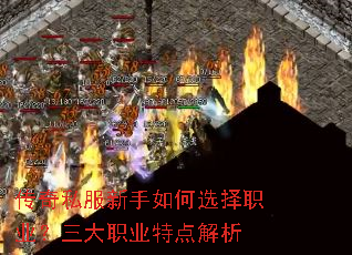 ����˽���������ѡ��ְҵ������ְҵ�ص����
