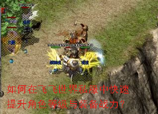 如何在飞飞世界私服中快速提升角色等级与装备战力? 如何在飞飞世界私服中快速提升角色等级与装备战力?