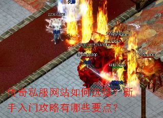 传奇私服网站如何选择?新手入门攻略有哪些要点? 传奇私服网站如何选择?新手入门攻略有哪些要点?