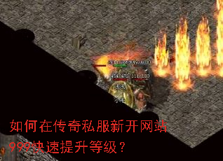 ����ڴ���˽���¿���վ999���������ȼ���