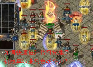 ��ο�����������˽���ֻ��浥ְҵ��ɫս������
