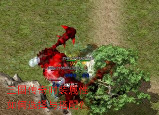 ��������ʱװ�������ѡ������䣿