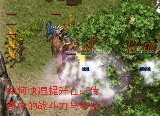 如何快速提升在sf传奇中的战斗力与等级? 如何快速提升在sf传奇中的战斗力与等级?