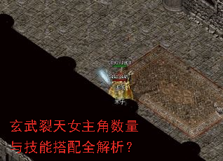 玄武裂天女主角数量与技能搭配全解析? 玄武裂天女主角数量与技能搭配全解析?