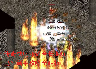 传奇快餐服适合长期玩吗?新手攻略全解析 传奇快餐服适合长期玩吗?新手攻略全解析
