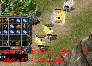 ���ڳ������θ�Чͨ�أ�����Щ��ˢBOSS�����ص�ͼ��