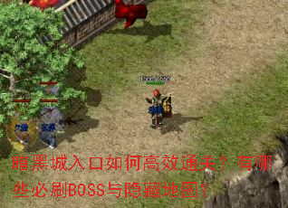 ���ڳ������θ�Чͨ�أ�����Щ��ˢBOSS�����ص�ͼ��