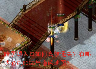 ���ڳ������θ�Чͨ�أ�����Щ��ˢBOSS�����ص�ͼ��