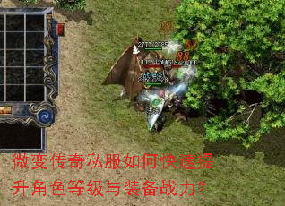 ΢�䴫��˽����ο���������ɫ�ȼ���װ��ս����
