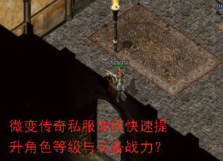 ΢�䴫��˽����ο���������ɫ�ȼ���װ��ս����