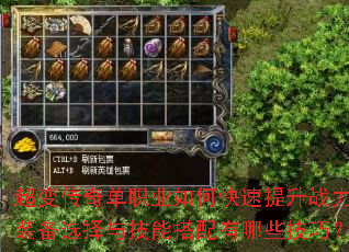 ���䴫�浥ְҵ��ο�������ս����װ��ѡ���뼼�ܴ�������Щ���ɣ�