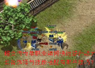 ���䴫�浥ְҵ��ο�������ս����װ��ѡ���뼼�ܴ�������Щ���ɣ�